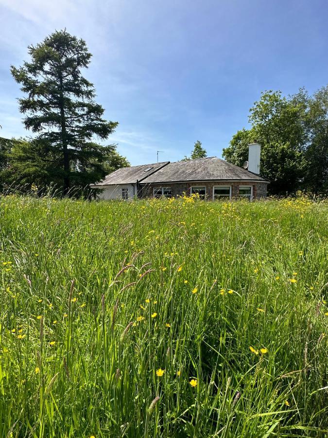 Balsoon Lodge Navan Exteriör bild